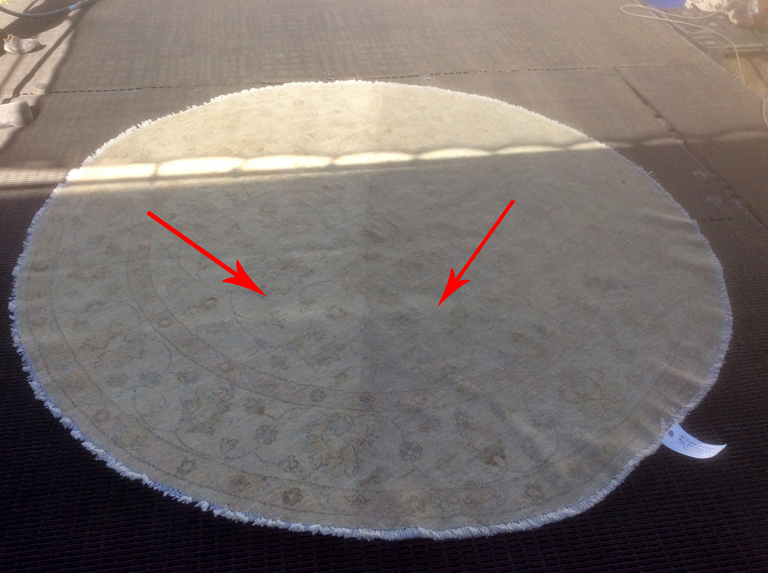 Air Dust Removal From Rug - Pakistan Hand Tied Wool Rug